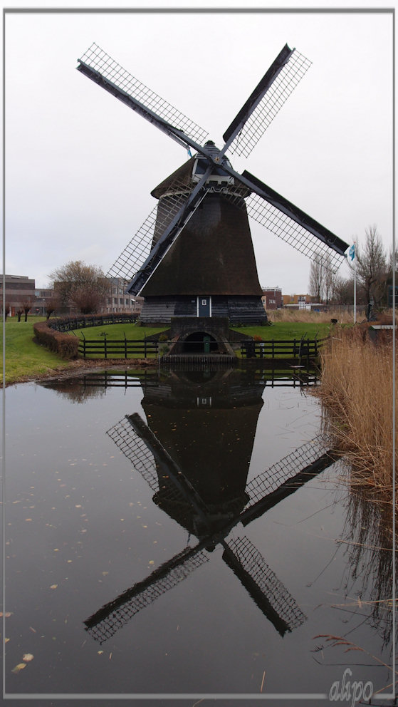 Molen Alkmaar Olympus XZ1