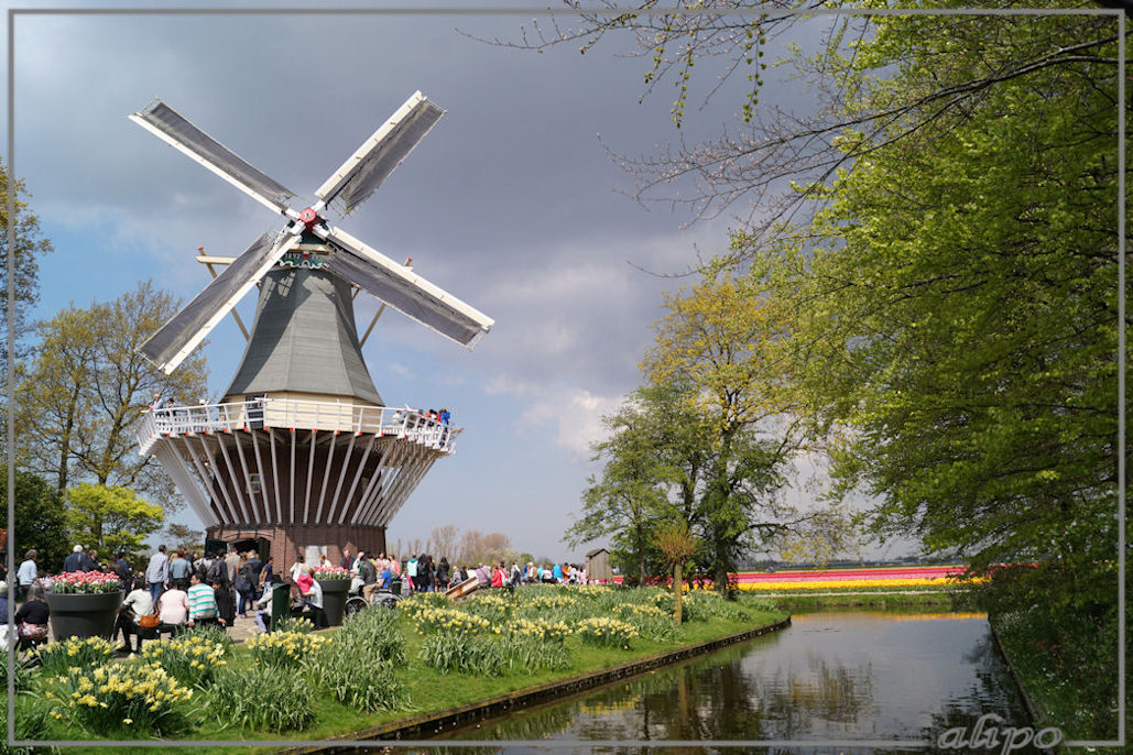 20160504_1405molen_Keukenhof